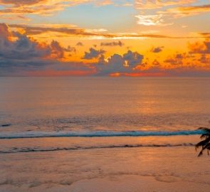 Living on an Island and Best Islands To Live on