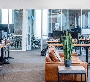 Employee Experience: What It Is and How to Improve It