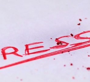 Stress Management: How To Manage Stress in Your Daily Life